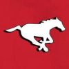 calgary stampeders (1)